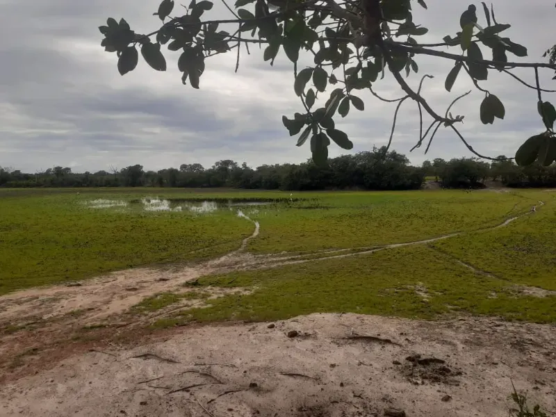 Fazenda em São Félix do Araguaia/Mato Grosso — Ref SASUS9 — Imagem 44
