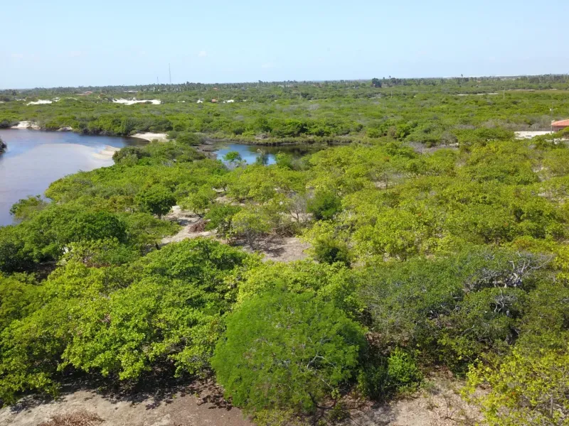 Sítio em Santo Amaro do Maranhão/Maranhão — Ref CNQXAE — Imagem 3