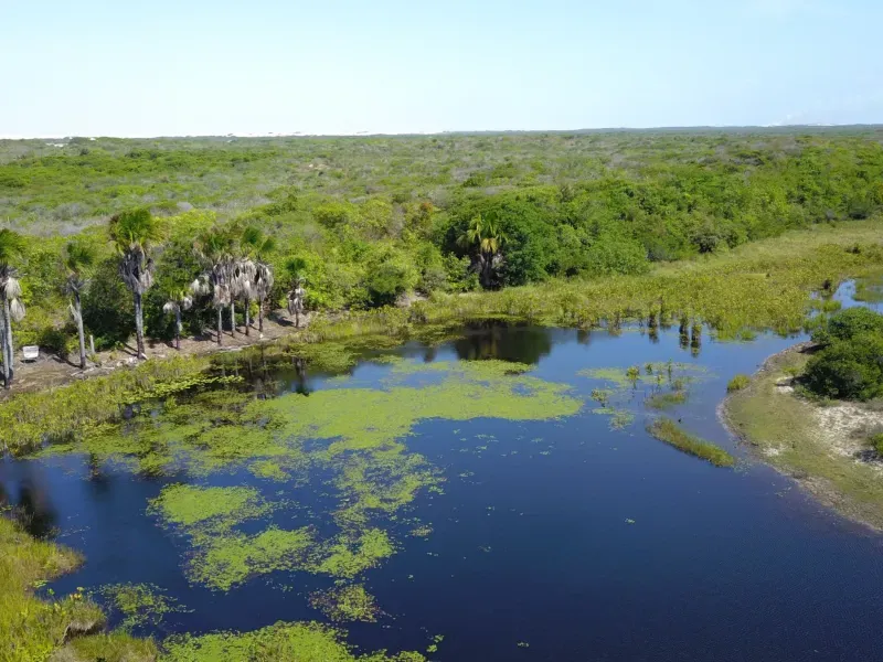 Sítio em Santo Amaro do Maranhão/Maranhão — Ref CNQXAE — Imagem 2