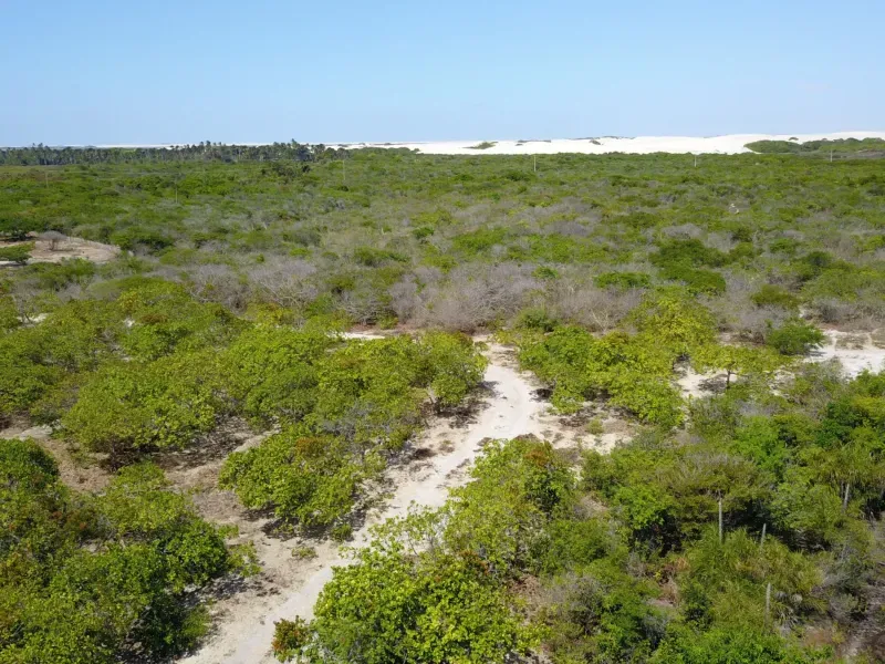 Sítio em Santo Amaro do Maranhão/Maranhão — Ref CNQXAE — Imagem 10