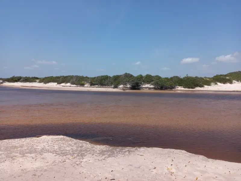 Sítio em Santo Amaro do Maranhão/Maranhão — Ref CNQXAE — Imagem 4