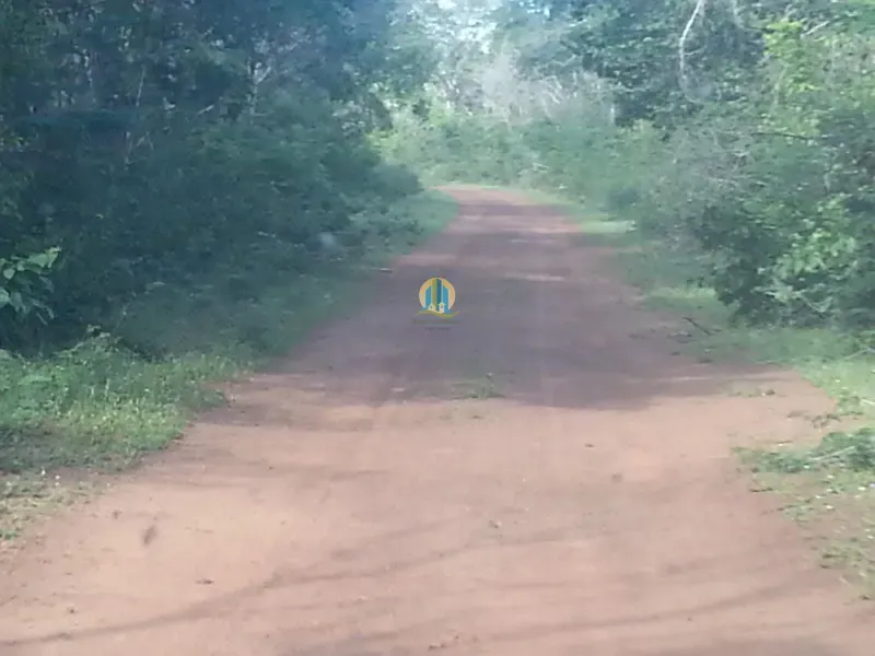 Fazenda em Aroazes/Piauí — Ref CJFF06 — Imagem 11