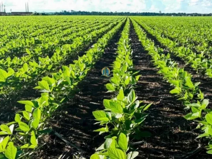 Fazenda em Nova Ubiratã/Mato Grosso — Ref 0QX883 — Imagem 2