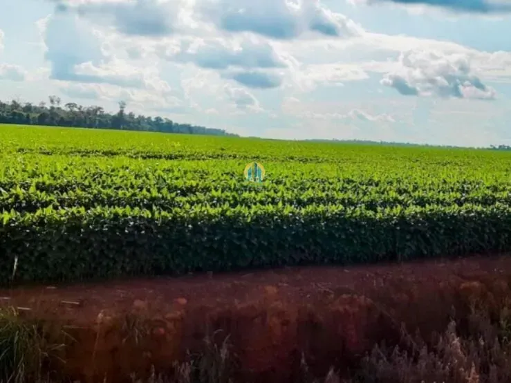 Fazenda em Nova Ubiratã/Mato Grosso — Ref 0QX883 — Imagem 4