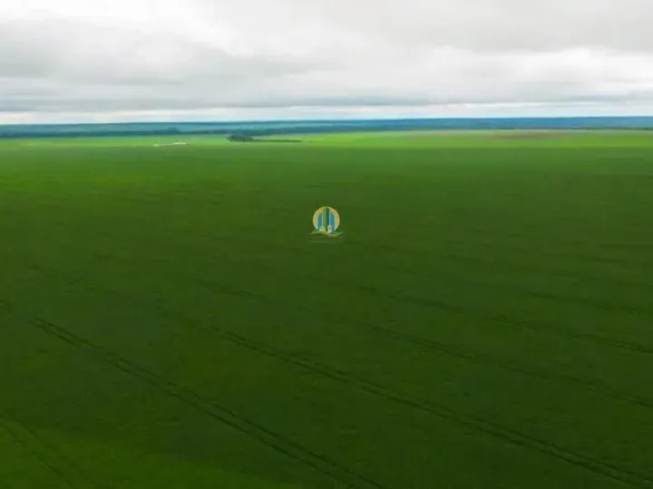 Fazenda em Nova Ubiratã/Mato Grosso — Ref 0QX883 — Imagem 6