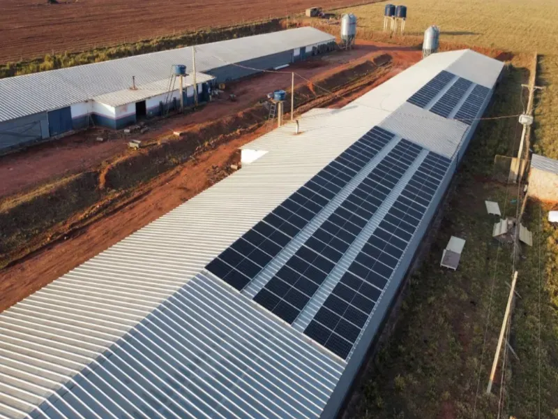 Fazenda em Dourados/Mato Grosso do Sul — Ref RKJ0VP — Imagem 3