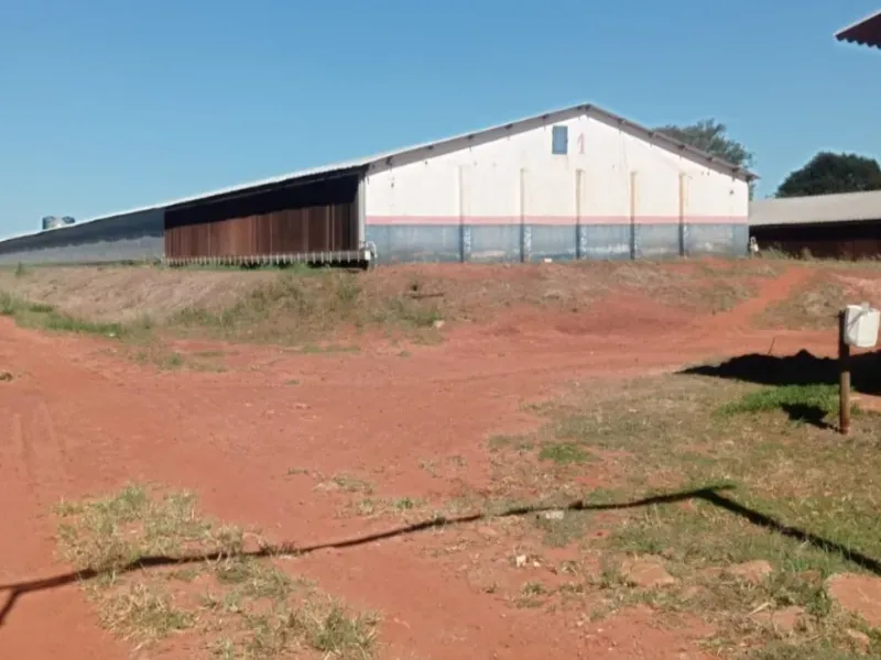 Fazenda em Dourados/Mato Grosso do Sul — Ref RKJ0VP — Imagem 4