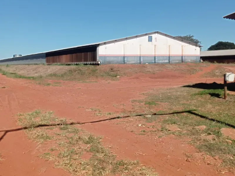 Fazenda em Dourados/Mato Grosso do Sul — Ref RKJ0VP — Imagem 5