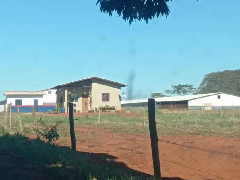 Fazenda em Dourados/Mato Grosso do Sul — Ref RKJ0VP — Imagem 8