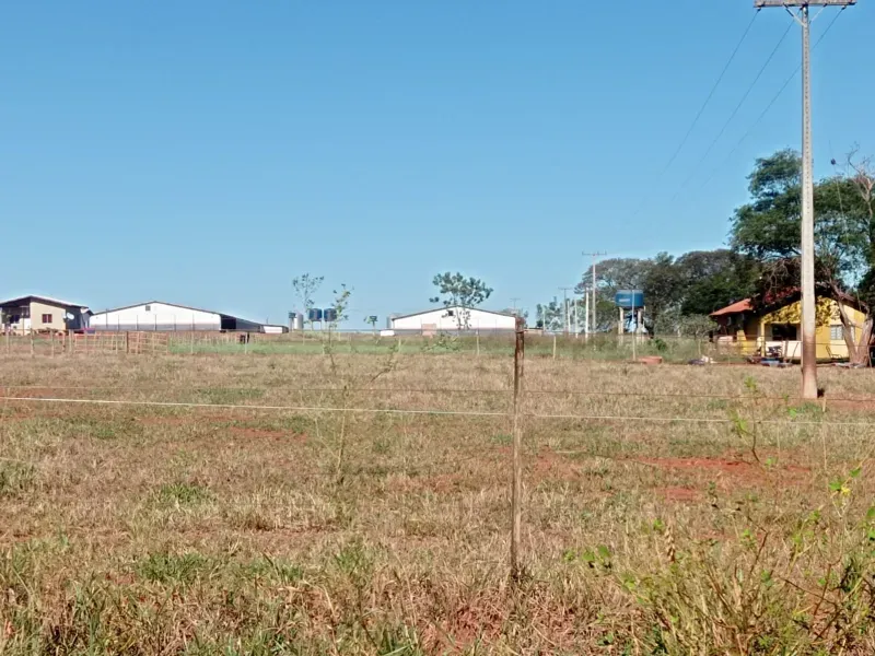 Fazenda em Dourados/Mato Grosso do Sul — Ref RKJ0VP — Imagem 9