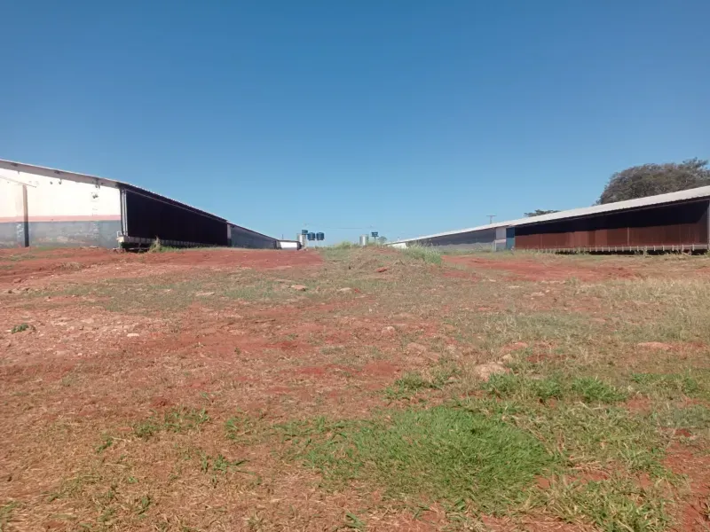 Fazenda em Dourados/Mato Grosso do Sul — Ref RKJ0VP — Imagem 12