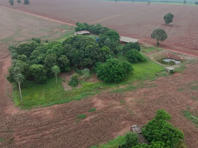 Fazenda em Caarapó/Mato Grosso do Sul — Ref DCEJGI — Imagem 2