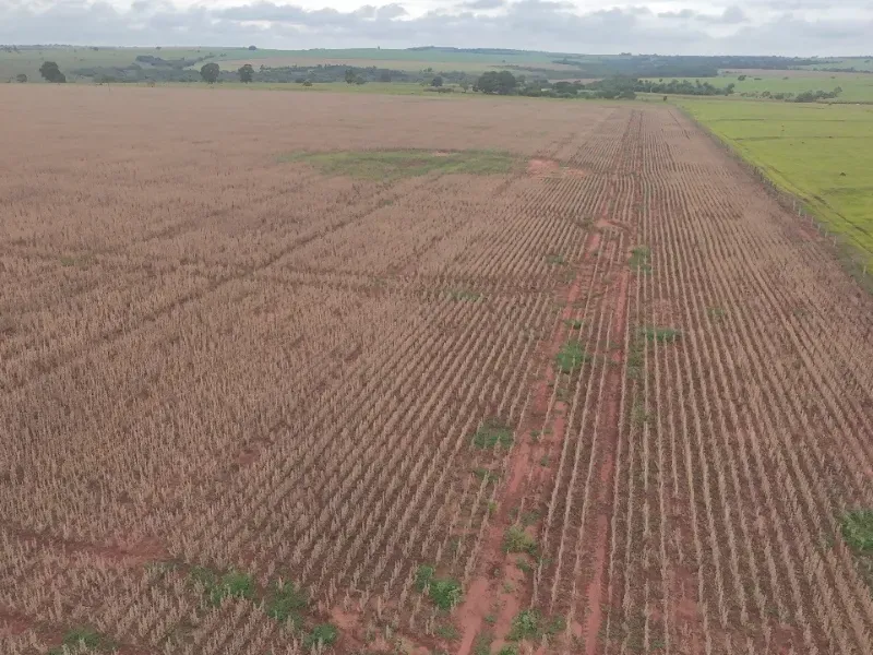 Fazenda em Caarapó/Mato Grosso do Sul — Ref DCEJGI — Imagem 7