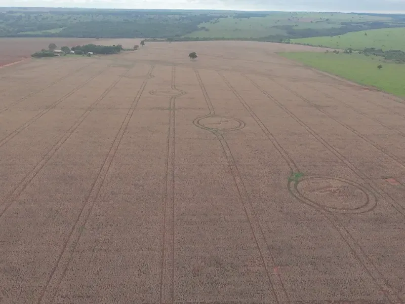 Fazenda em Caarapó/Mato Grosso do Sul — Ref DCEJGI — Imagem 6