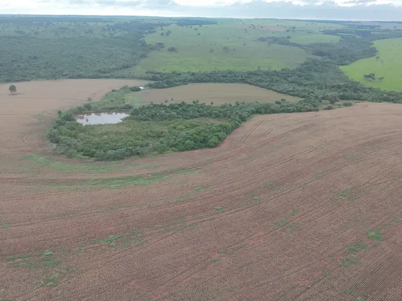 Fazenda em Caarapó/Mato Grosso do Sul — Ref DCEJGI — Imagem 5