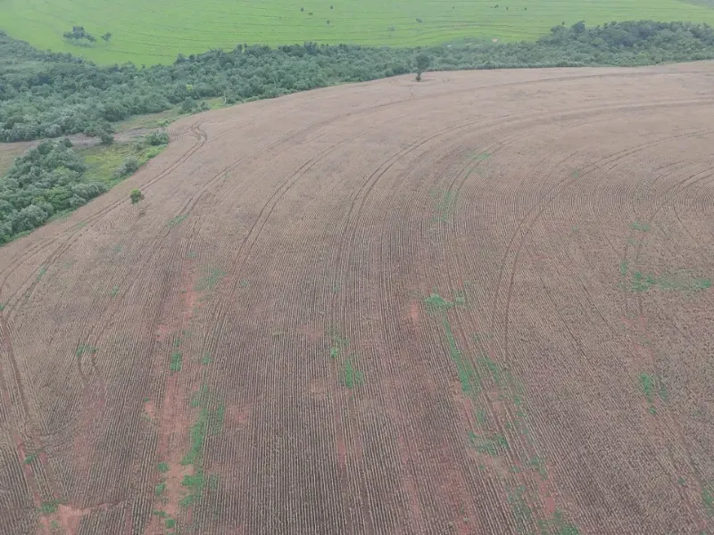 Fazenda em Caarapó/Mato Grosso do Sul — Ref DCEJGI — Imagem 4