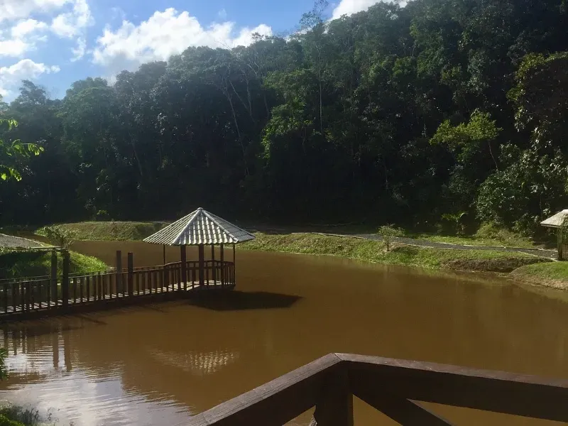Sítio em Pariquera-Açu/São Paulo — Ref 61DND2 — Imagem 8