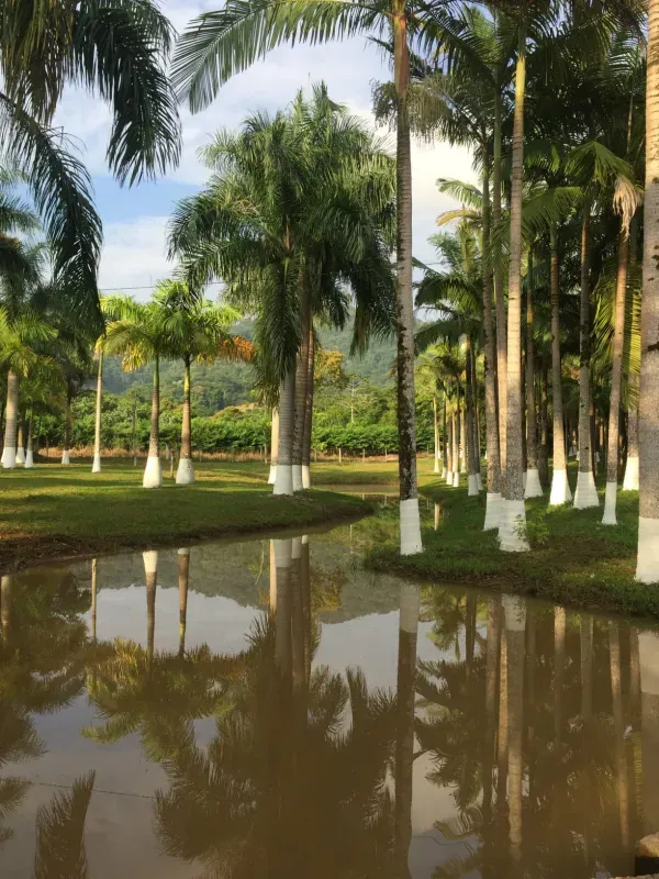 Sítio em Pariquera-Açu/São Paulo — Ref 61DND2 — Imagem 23