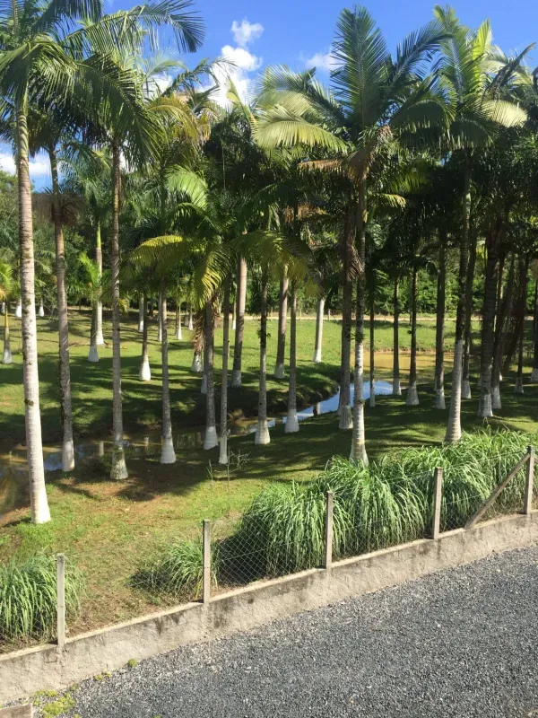 Sítio em Pariquera-Açu/São Paulo — Ref 61DND2 — Imagem 25