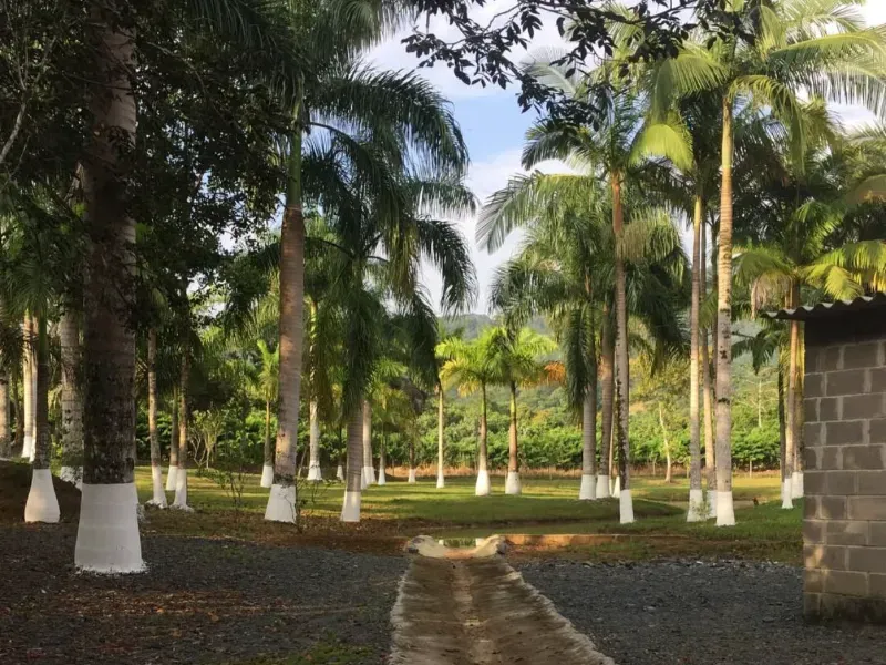 Sítio em Pariquera-Açu/São Paulo — Ref 61DND2 — Imagem 24