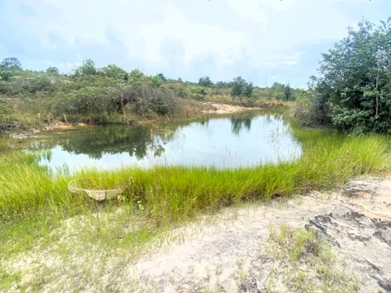 Fazenda em Bom Jardim de Goiás/Goiás — Ref WT8U9O — Imagem 2