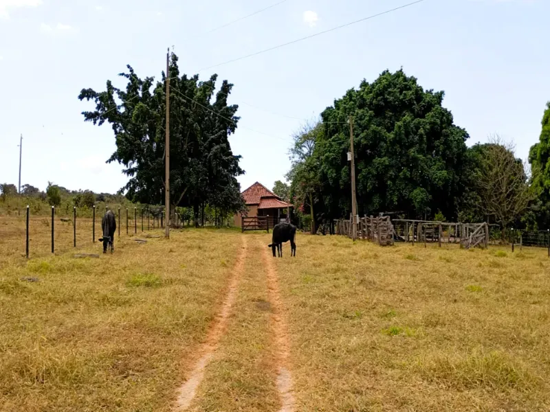 Fazenda em Bom Jardim de Goiás/Goiás — Ref WT8U9O — Imagem 5