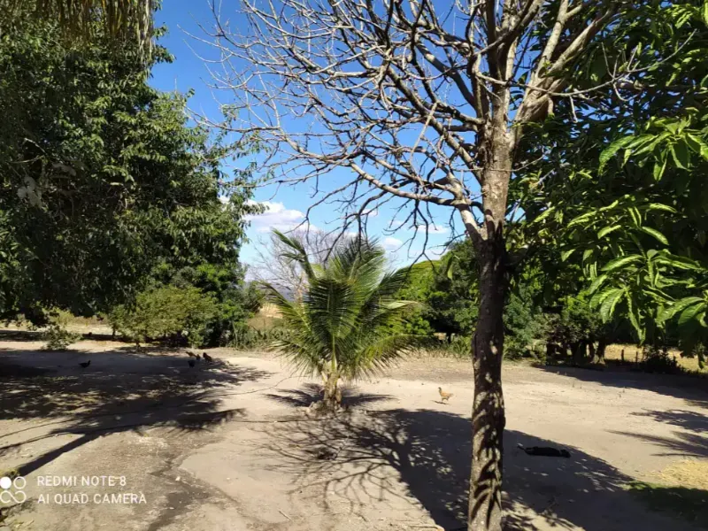 Fazenda em Bom Jardim de Goiás/Goiás — Ref WT8U9O — Imagem 6