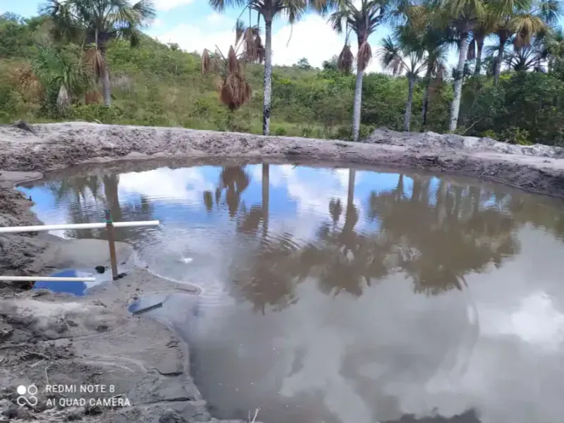 Fazenda em Bom Jardim de Goiás/Goiás — Ref WT8U9O — Imagem 9