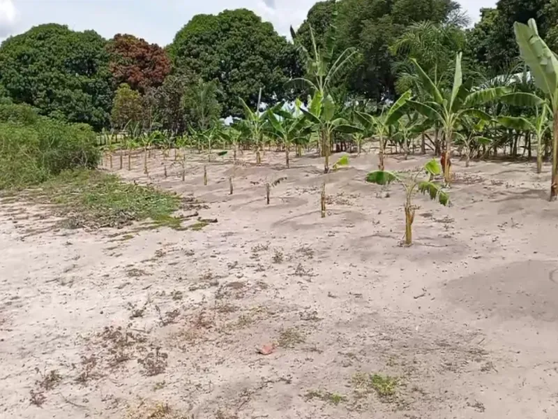 Fazenda em Bom Jardim de Goiás/Goiás — Ref WT8U9O — Imagem 18