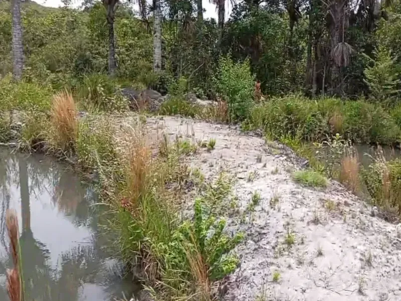 Fazenda em Bom Jardim de Goiás/Goiás — Ref WT8U9O — Imagem 19