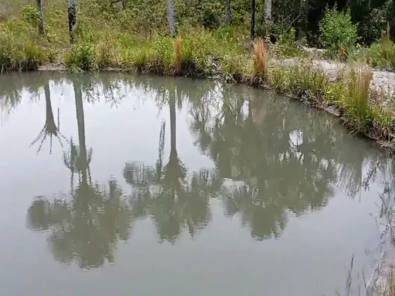 Fazenda em Bom Jardim de Goiás/Goiás — Ref WT8U9O — Imagem 20