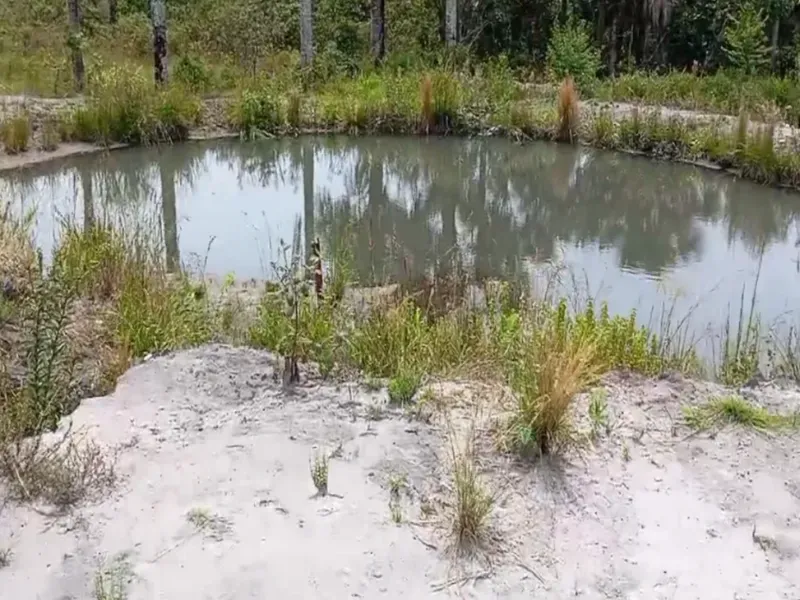 Fazenda em Bom Jardim de Goiás/Goiás — Ref WT8U9O — Imagem 21