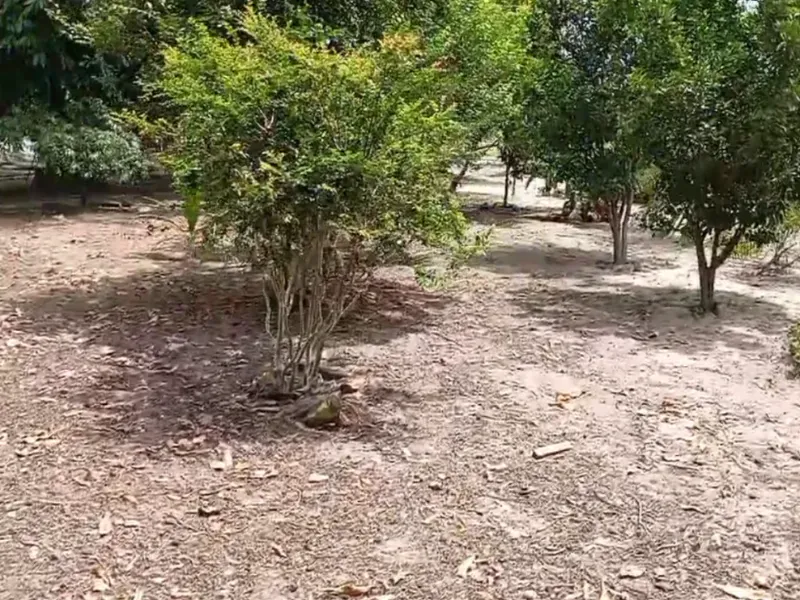 Fazenda em Bom Jardim de Goiás/Goiás — Ref WT8U9O — Imagem 22