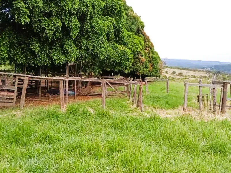 Fazenda em Bom Jardim de Goiás/Goiás — Ref WT8U9O — Imagem 24