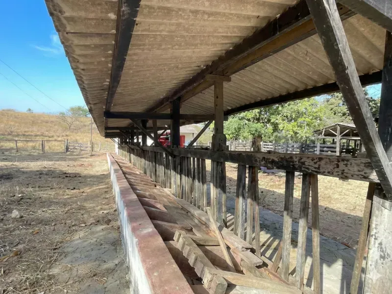 Fazenda em Aragoiânia/Goiás — Ref O6S87C — Imagem 2