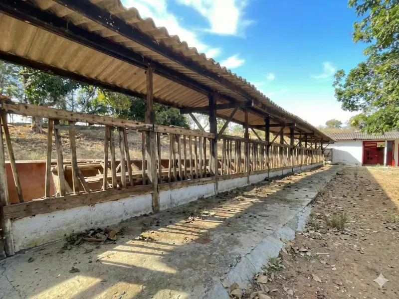 Fazenda em Aragoiânia/Goiás — Ref O6S87C — Imagem 3