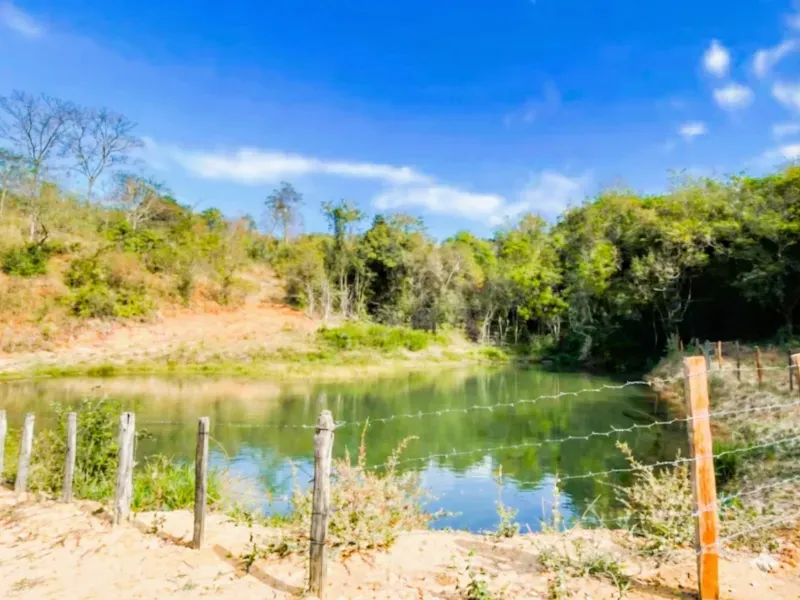 Fazenda em Aragoiânia/Goiás — Ref O6S87C — Imagem 10