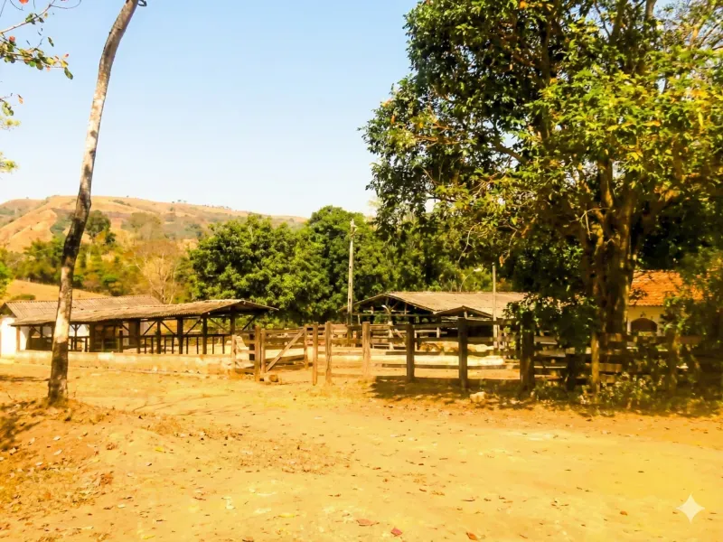 Fazenda em Aragoiânia/Goiás — Ref O6S87C — Imagem 11