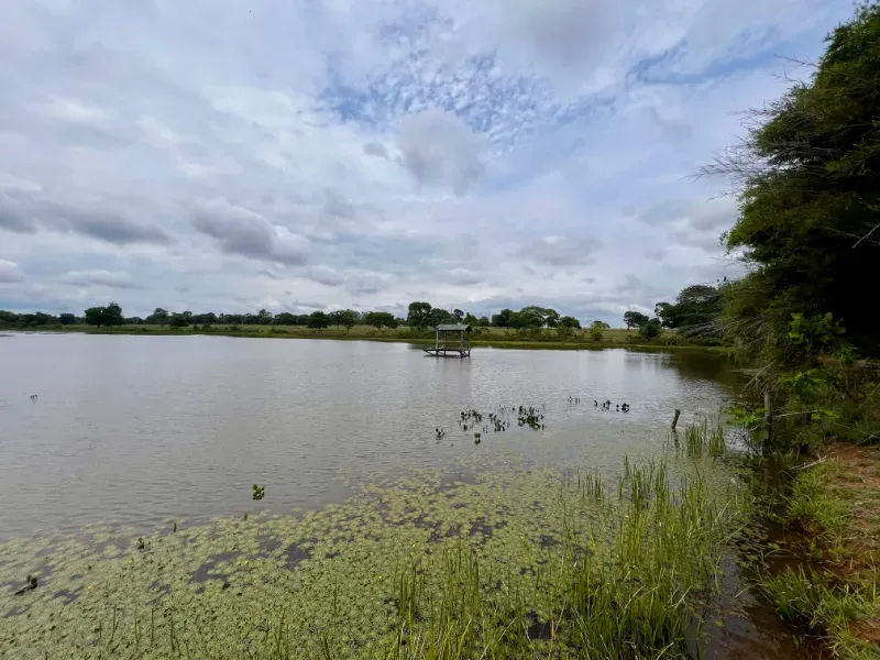 Fazenda em Peixe/Tocantins — Ref ZL7UDJ — Imagem 9