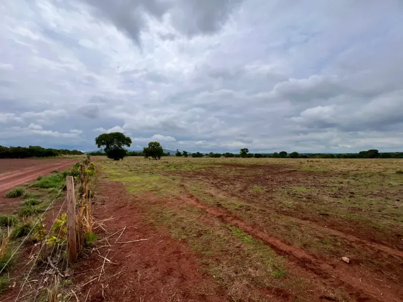 Fazenda em Peixe/Tocantins — Ref ZL7UDJ — Imagem 17