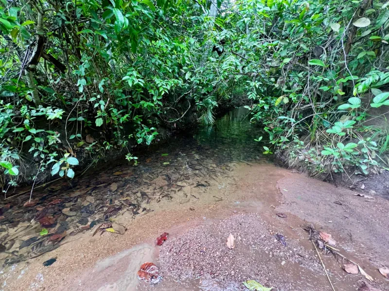 Fazenda em Peixe/Tocantins — Ref ZL7UDJ — Imagem 18