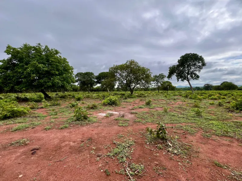 Fazenda em Peixe/Tocantins — Ref ZL7UDJ — Imagem 20