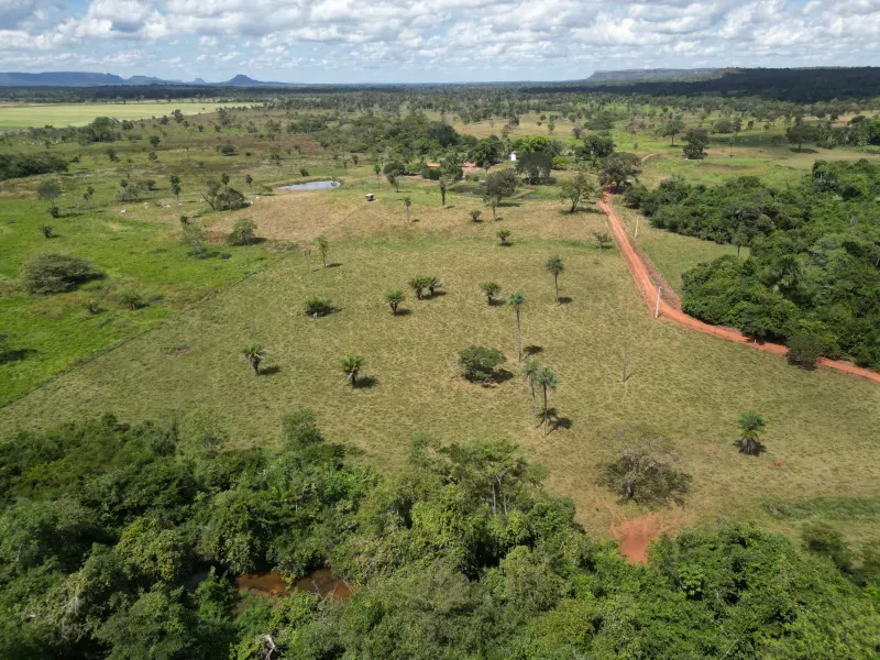 Fazenda em Babaçulândia/Tocantins — Ref OGV8PB — Imagem 3