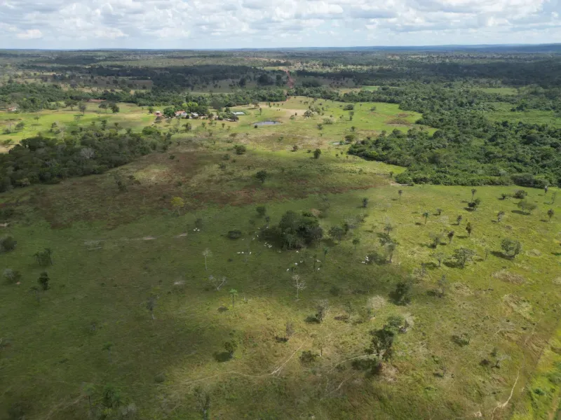 Fazenda em Babaçulândia/Tocantins — Ref OGV8PB — Imagem 7