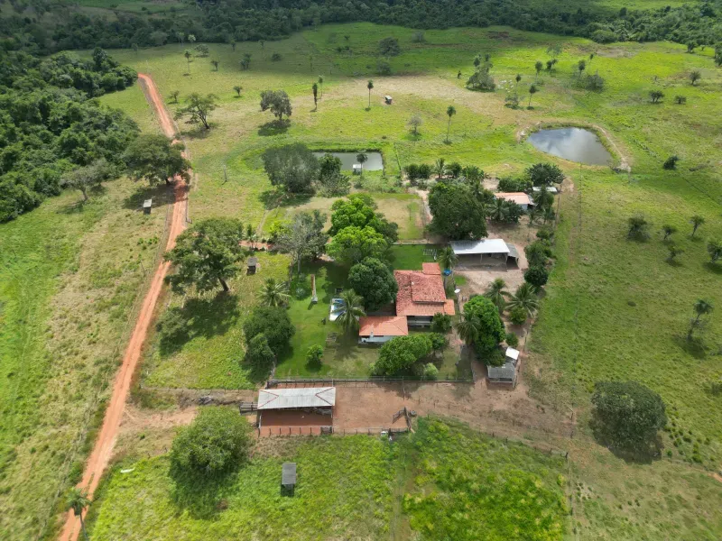 Fazenda em Babaçulândia/Tocantins — Ref OGV8PB — Imagem 8