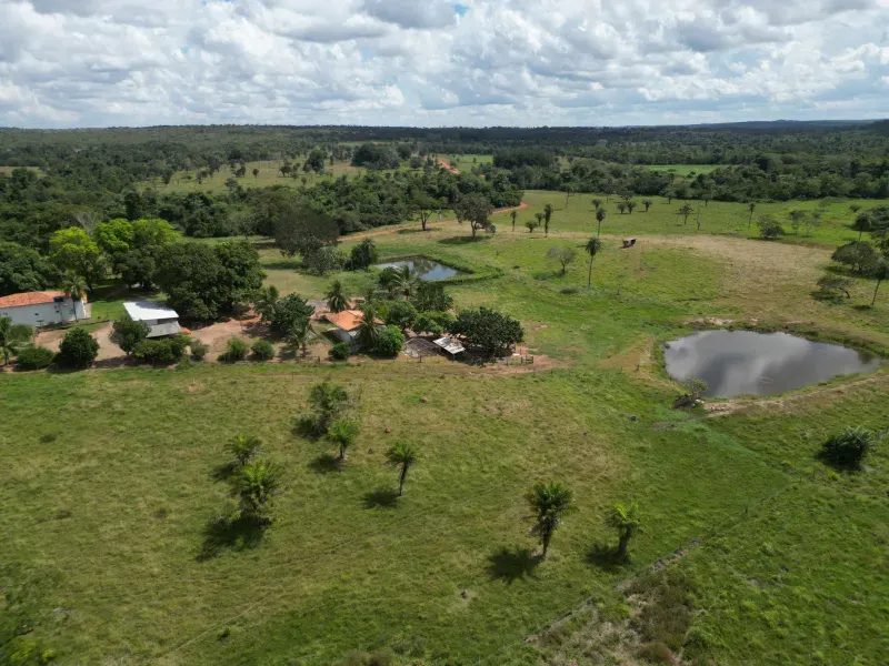 Fazenda em Babaçulândia/Tocantins — Ref OGV8PB — Imagem 9