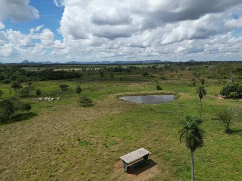Fazenda em Babaçulândia/Tocantins — Ref OGV8PB — Imagem 11
