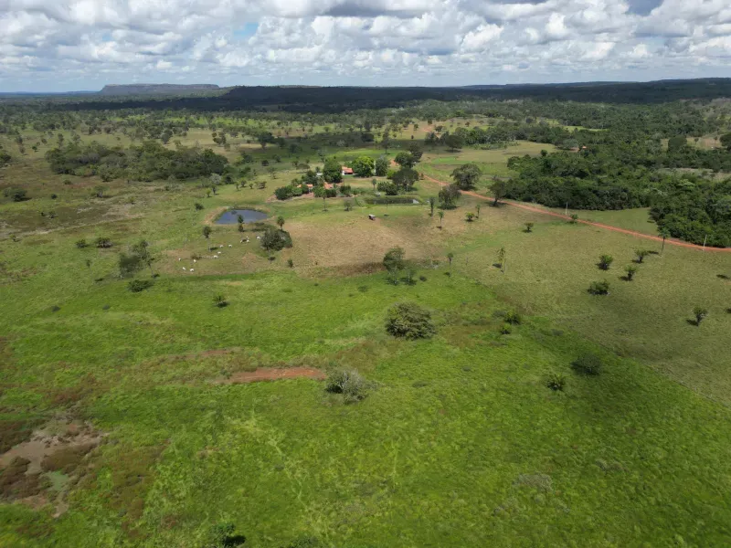 Fazenda em Babaçulândia/Tocantins — Ref OGV8PB — Imagem 2