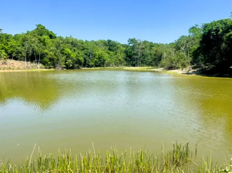 Fazenda em Cezarina/Goiás — Ref 38LWLT — Imagem 20