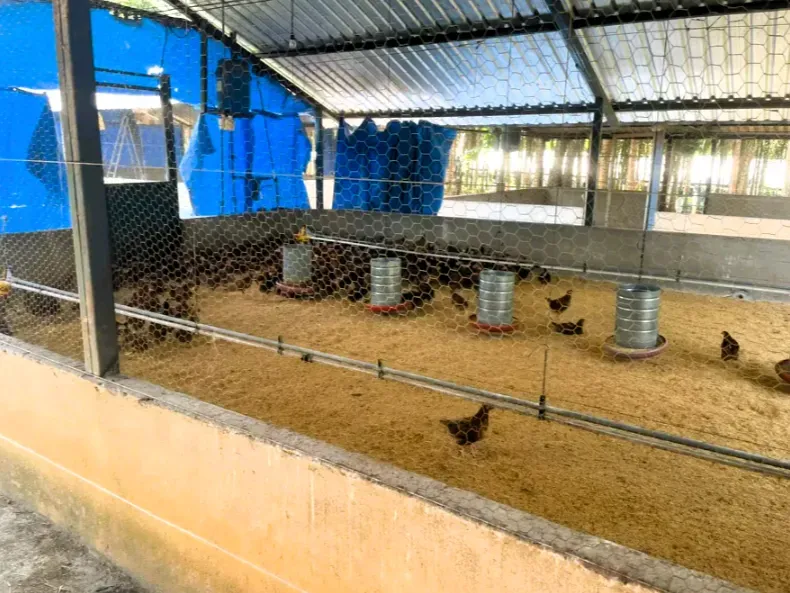 Fazenda em Cezarina/Goiás — Ref 38LWLT — Imagem 2